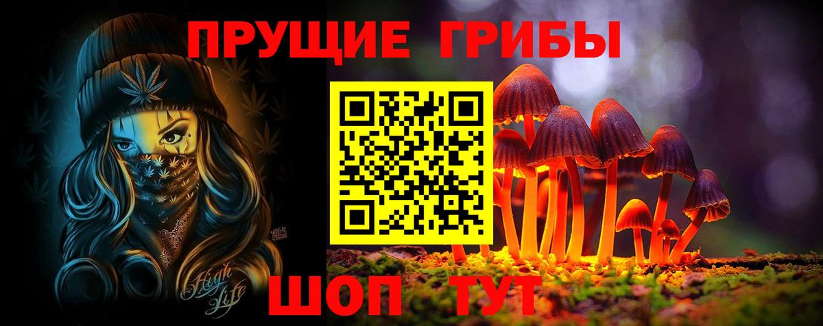 Кудрово  Псилоцибиновые грибы Magic Shrooms  Вход с VPN  Псилоцибиновые грибы MAGIC MUSHROOMS 